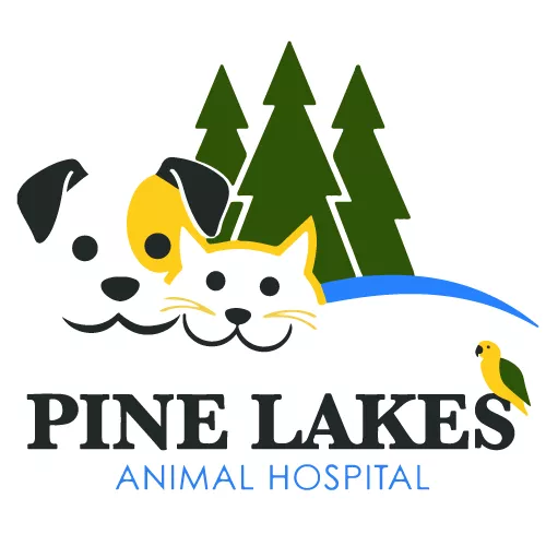 Pine Lakes Animal Hospital, Florida, Palm Coast